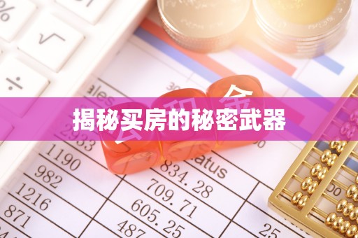 高安揭秘买房的秘密武器
