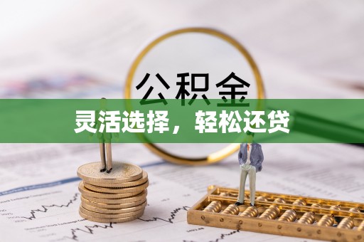 高安灵活选择，轻松还贷