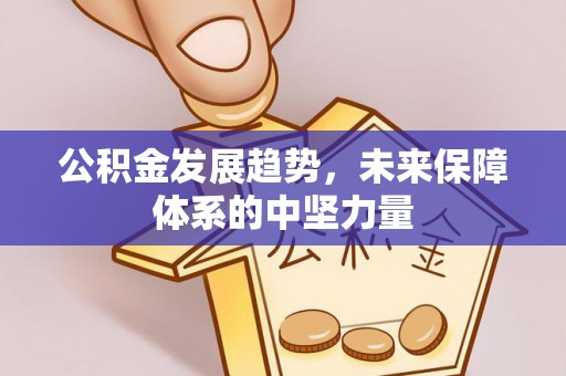 高安公积金发展趋势，未来保障体系的中坚力量