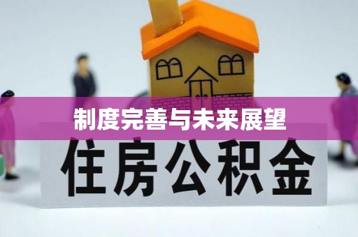 高安制度完善与未来展望