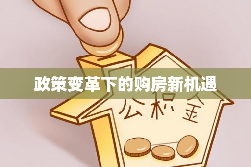 高安政策变革下的购房新机遇